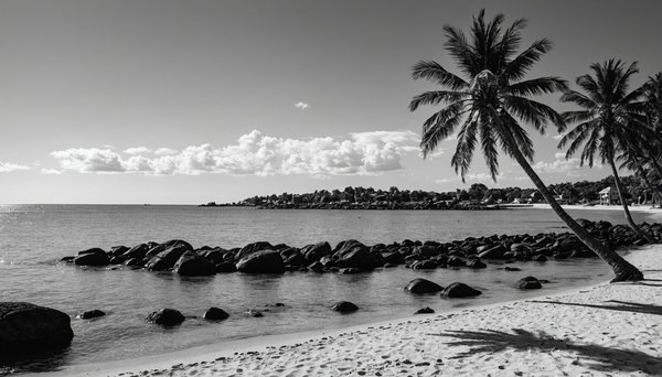 L'art de vivre unique à l'île maurice